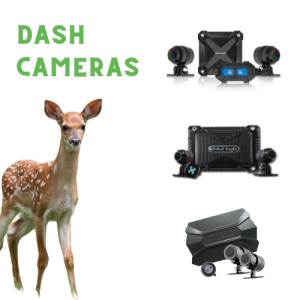 dash camera category 1 - moto-mate