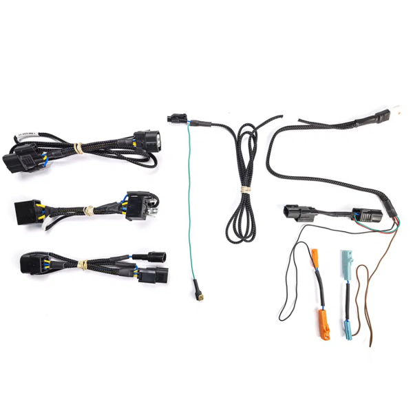 Optional Plug & Play Input Harness for Honda 300L for HEX ezCAN PURE